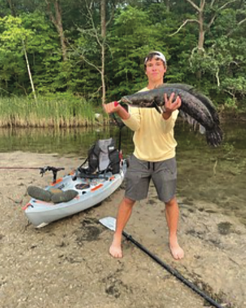 Maryland Fishing Report Freshwater Fishing Hancock News