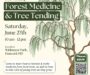 Free Forest Medicine & Tree workshop set for June 27