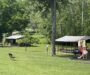 Bid for new park stairs approved, pavilion roof bids tabled